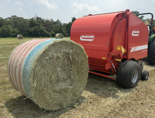 Maschio Demo Program