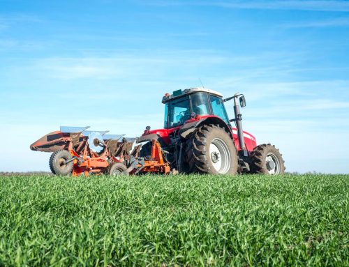 Why Modern Farmers Swear by These Hay Mowers for Efficient Cutting