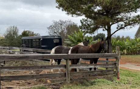 Screenshot 2026-01-04 at 3.22.30 PM Small Farm Innovations | Customer Spotlight: Monica Castator