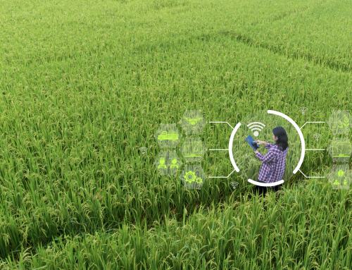 AI in the Fields