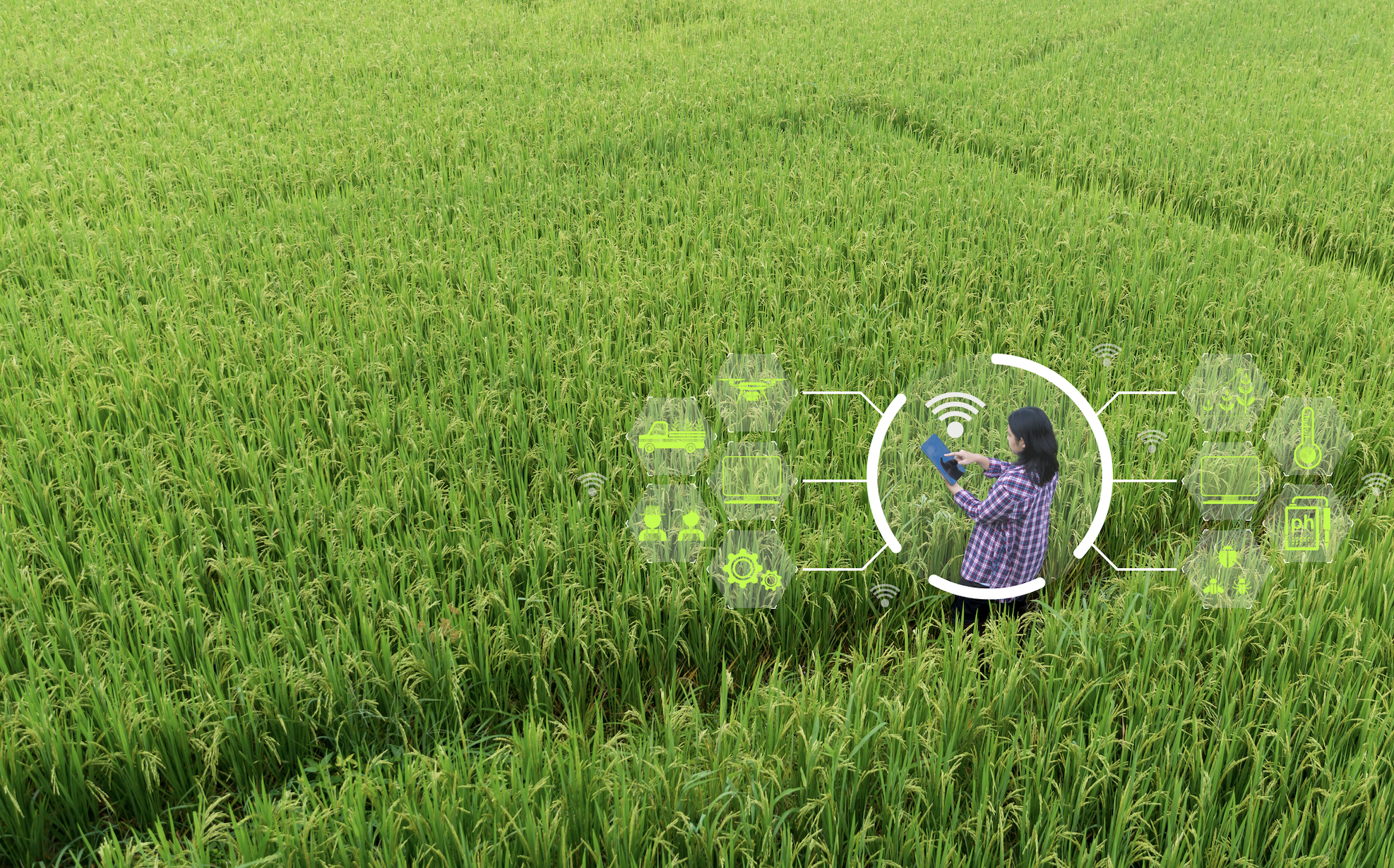 Screenshot 2026-06-01 at 9.04.31 AM Small Farm Innovations | AI in the Fields