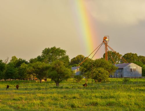 August on the Farm: Your Late-Summer Game Plan, Region by Region